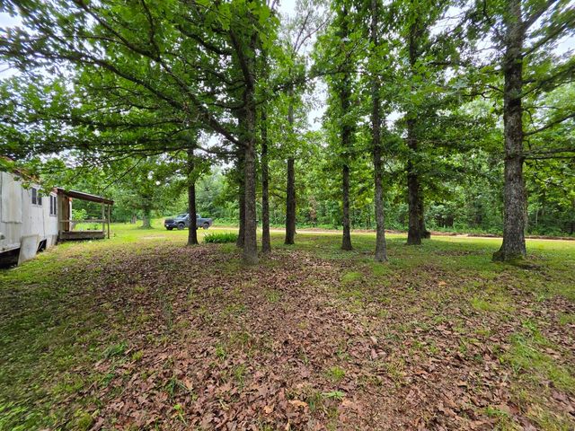 295 Black Oak Road, Mammoth Spring, AR 72554