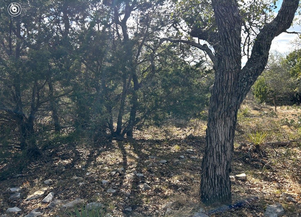 Image 14 of property listing at 1512 Persimmon Rd # 35, Eldorado, TX 76936