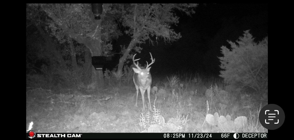 Image 18 of property listing at 1512 Persimmon Rd # 35, Eldorado, TX 76936