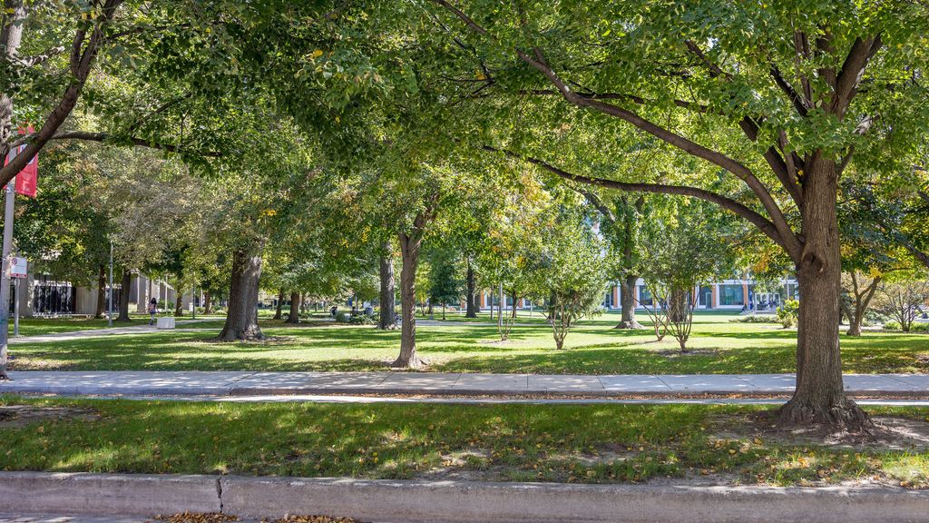 900 S Morgan Street, Chicago, IL 60607 — photo 2