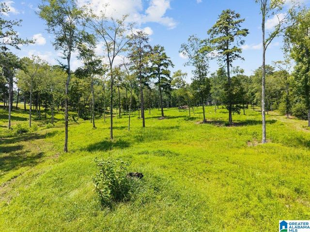 4705 COUNTY HIGHWAY 45, Hayden, AL 35079