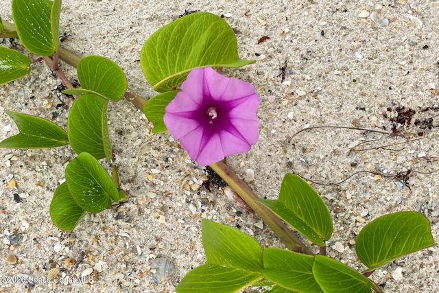 2700 N Highway A1a 11-205, Indialantic, FL 32903