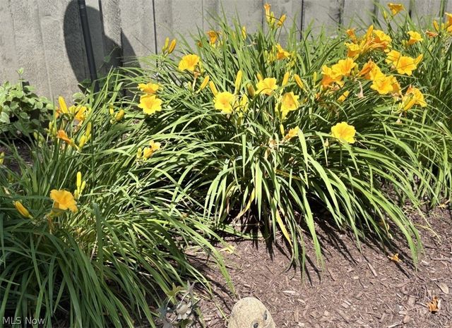 16506 Sunwood Oval, Strongsville, OH 44136