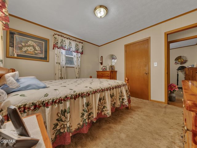 495 Carnation Way, Newport, TN 37821