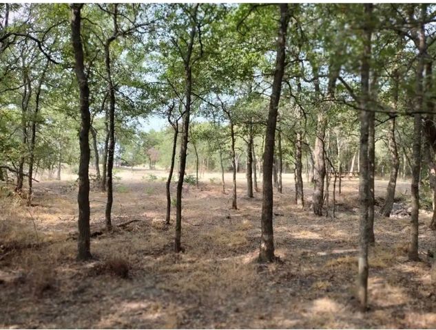 4139 Vista Oak Drive, Royse City, TX 75189