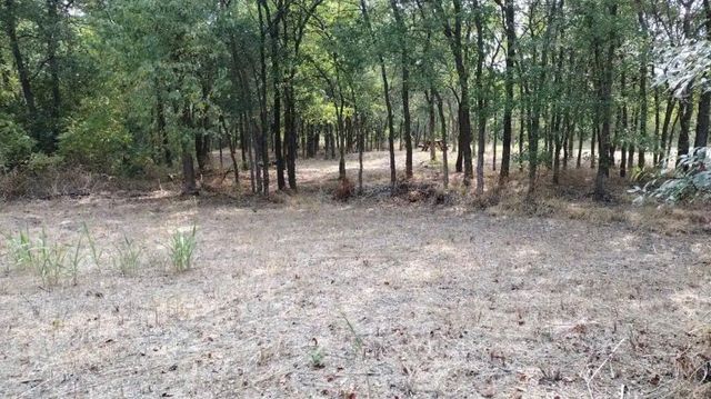 4139 Vista Oak Drive, Royse City, TX 75189