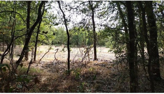 4139 Vista Oak Drive, Royse City, TX 75189