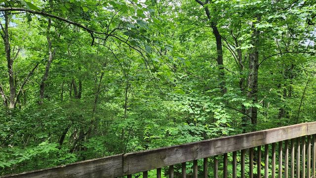18 Sassafras Ridge Road, Turtletown, TN 37391