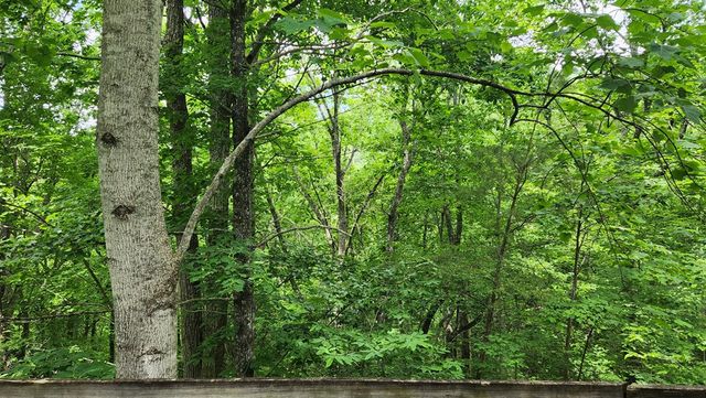 18 Sassafras Ridge Road, Turtletown, TN 37391