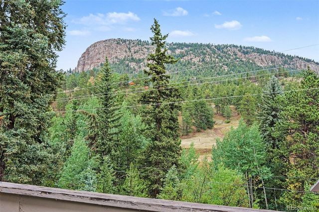 809 Roland Drive, Bailey, CO 80421