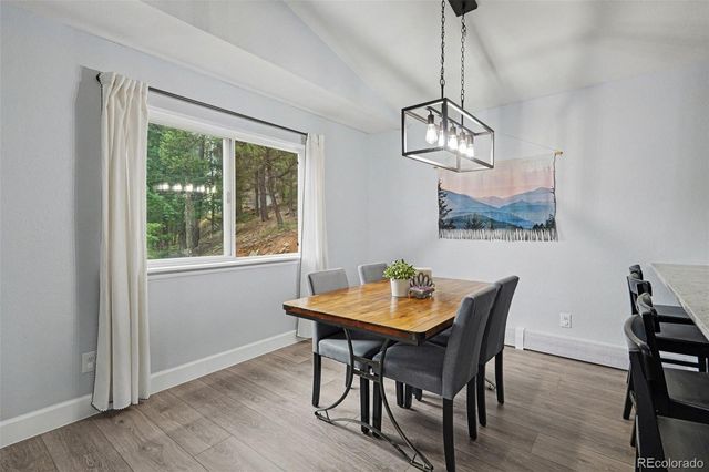 809 Roland Drive, Bailey, CO 80421