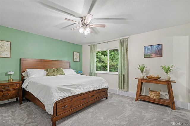 809 Roland Drive, Bailey, CO 80421