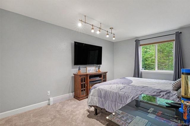 809 Roland Drive, Bailey, CO 80421