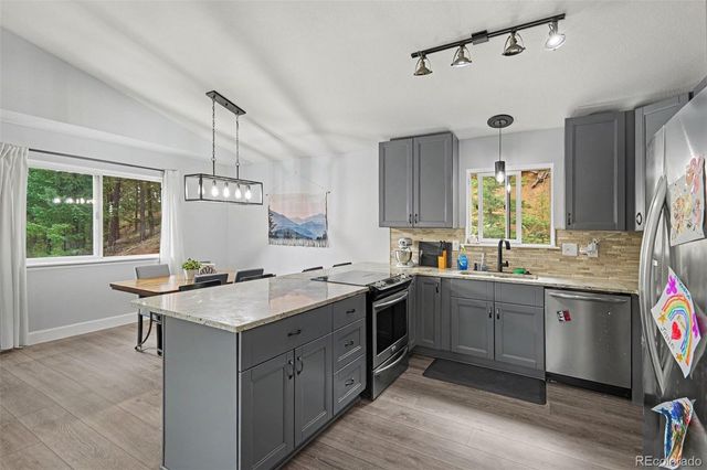 809 Roland Drive, Bailey, CO 80421