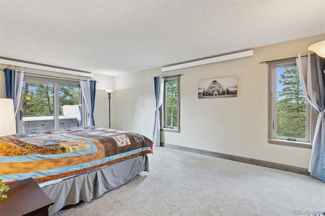 7845 Armadillo Trail, Evergreen, CO 80439