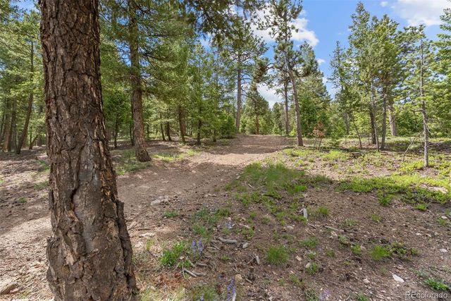 7845 Armadillo Trail, Evergreen, CO 80439