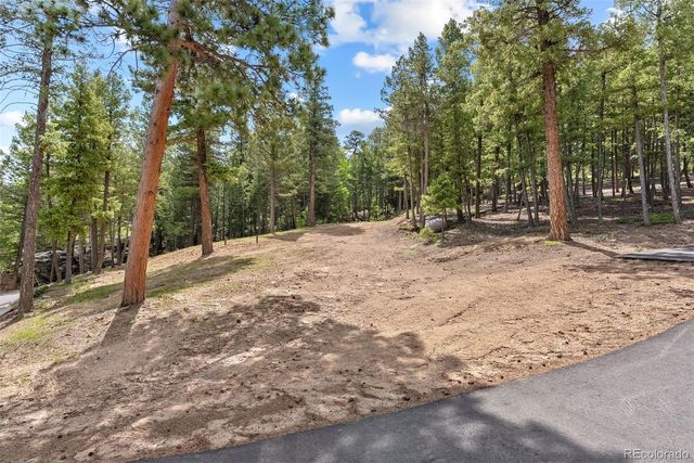 7845 Armadillo Trail, Evergreen, CO 80439