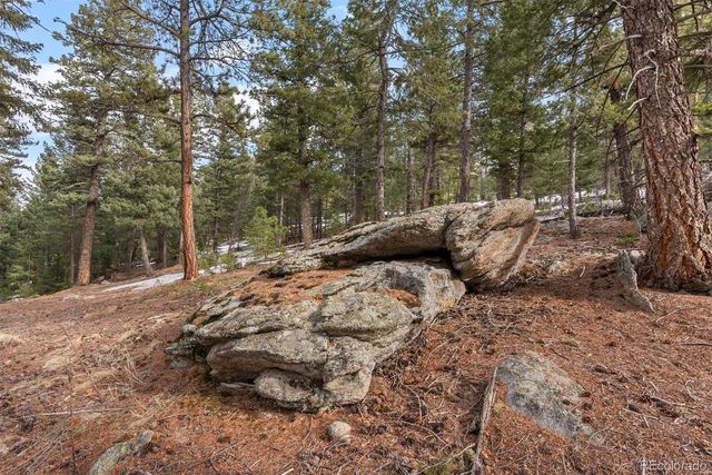 7845 Armadillo Trail, Evergreen, CO 80439