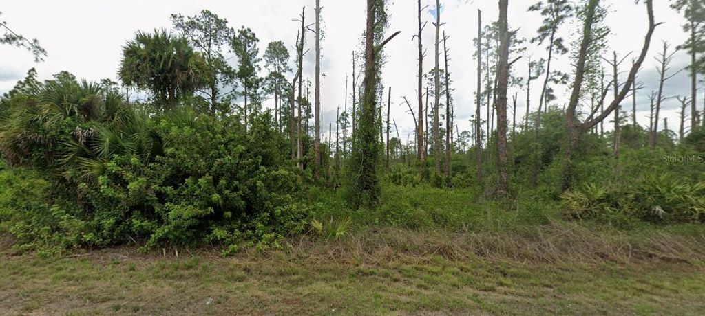 3703 E 9TH STREET, Lehigh Acres, FL 33972