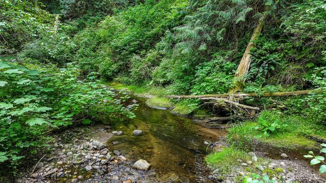 21 Austin Creek Lane, Bellingham, WA 98229