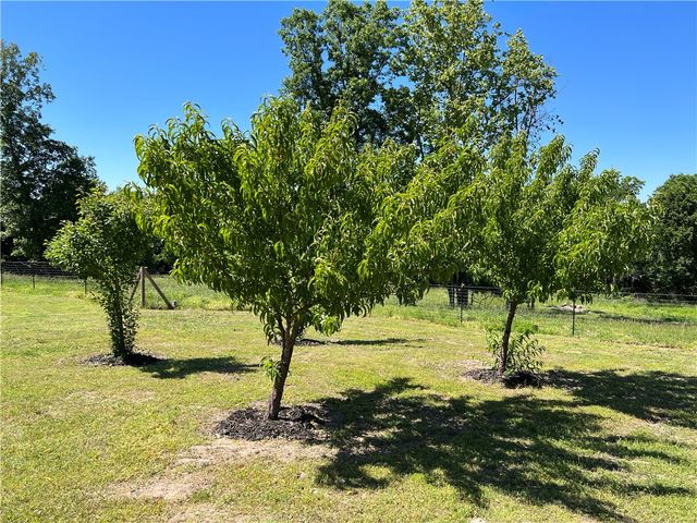14295 Denver Road, Omaha, AR 72662