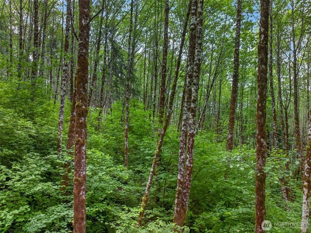 943 Fall Creek Road, Longview, WA 98632