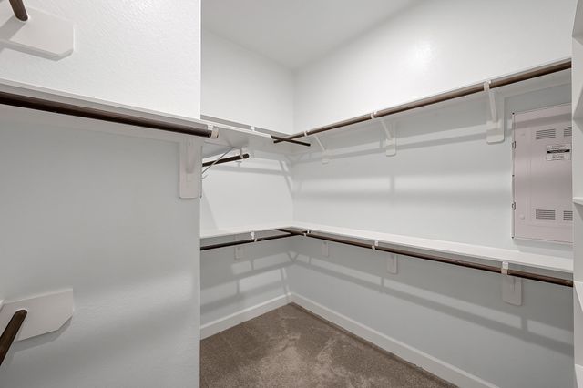 8431 Willow Whisper Lane, Magnolia, TX 77354