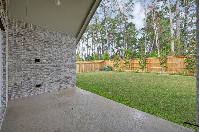 8431 Willow Whisper Lane, Magnolia, TX 77354