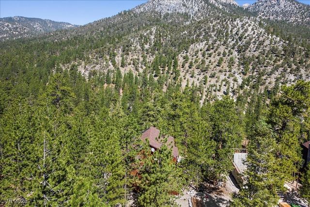 2169 Via Spes Nostra Street, Mount Charleston, NV 89124