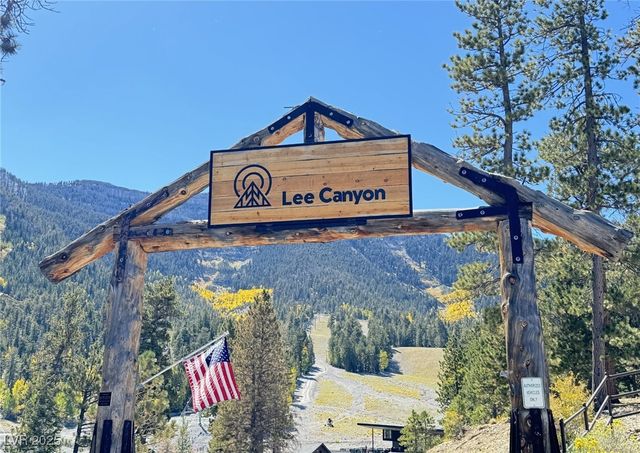 2169 Via Spes Nostra Street, Mount Charleston, NV 89124