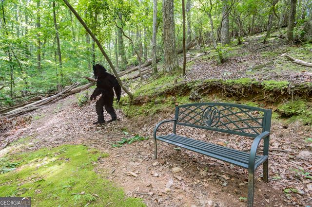 341 Valley View Road, Ellijay, GA 30536