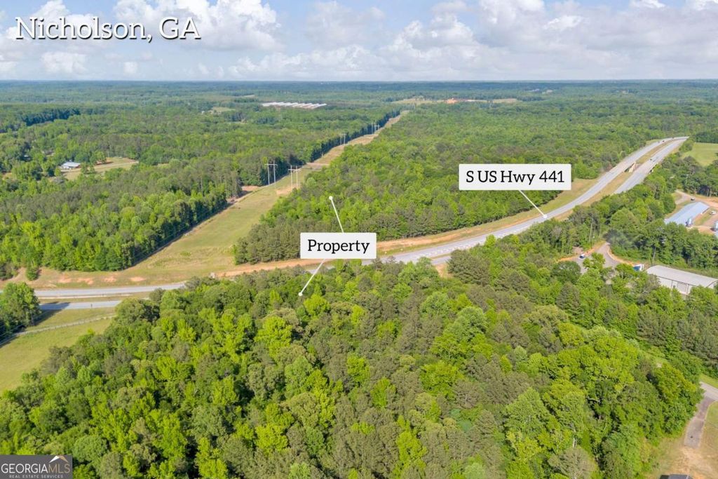 0 US HWY 441 S, Nicholson, GA 30565 — photo 4
