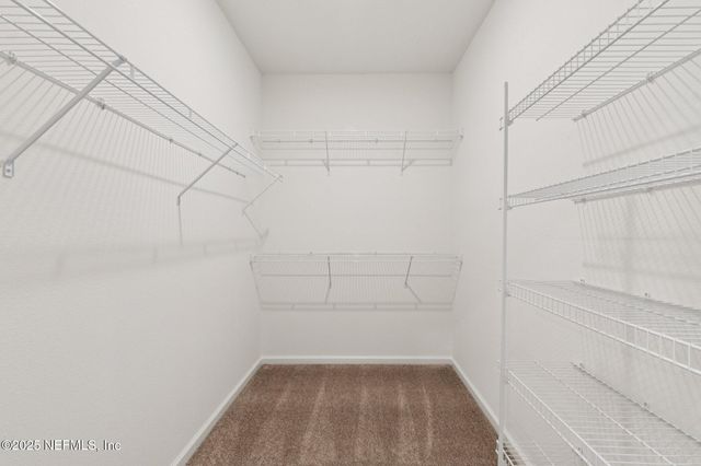 1109 HAMMOCK DUNES Drive, Jacksonville, FL 32221