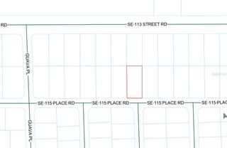 SE 115 PLACE ROAD, Ocklawaha, FL 32179