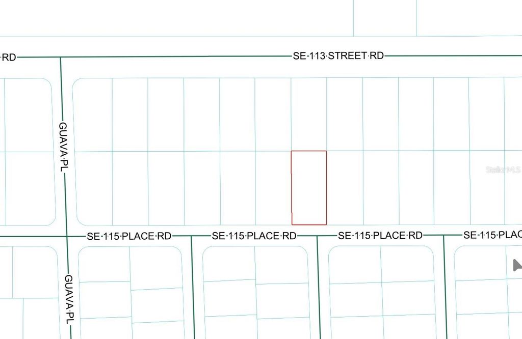 SE 115 PLACE ROAD, Ocklawaha, FL 32179