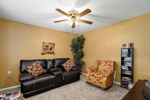 1338 Blackberry Lane, Crane, MO 65633