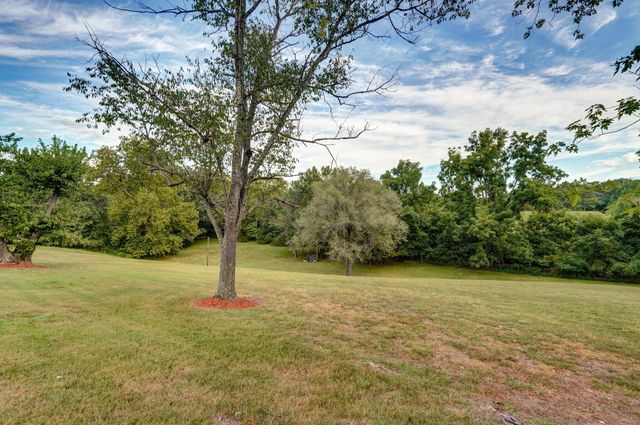 1338 Blackberry Lane, Crane, MO 65633