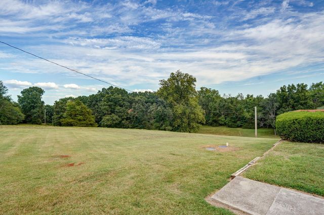 1338 Blackberry Lane, Crane, MO 65633