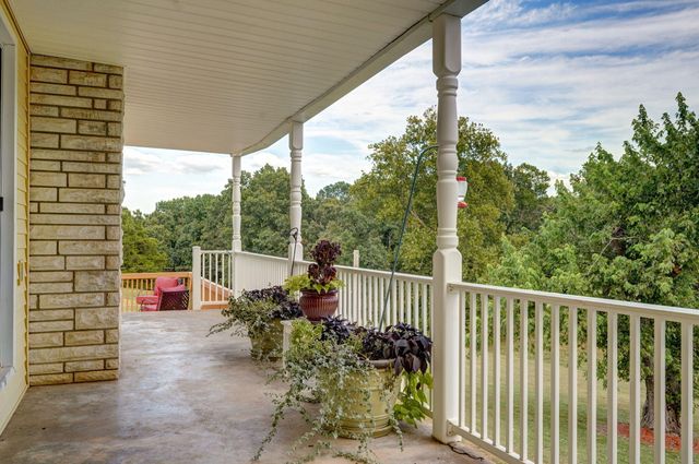 1338 Blackberry Lane, Crane, MO 65633