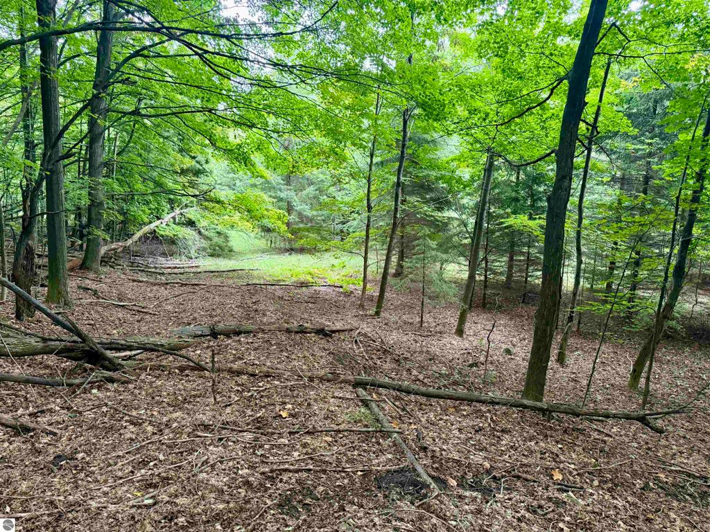 Image 11 of property listing at 0000 W Harbor Highway, Maple City, MI 49664