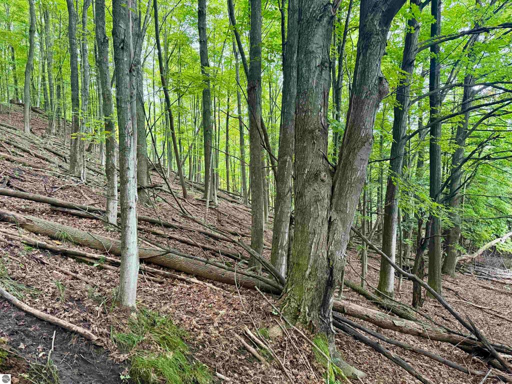 Image 12 of property listing at 0000 W Harbor Highway, Maple City, MI 49664