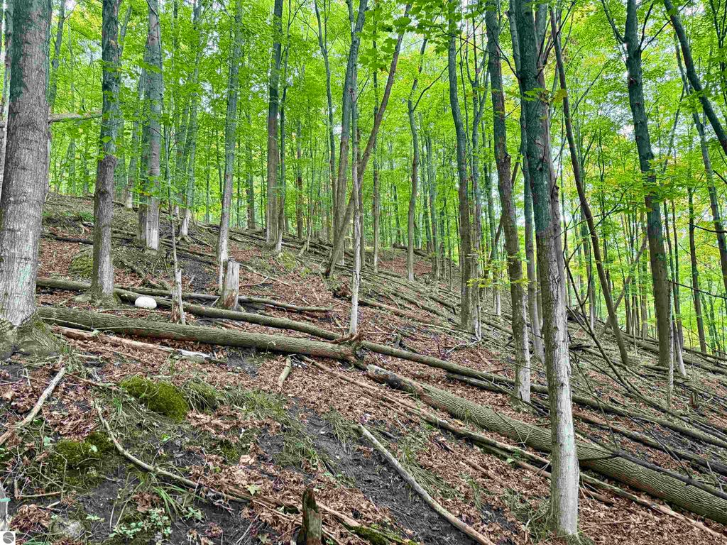 Image 13 of property listing at 0000 W Harbor Highway, Maple City, MI 49664