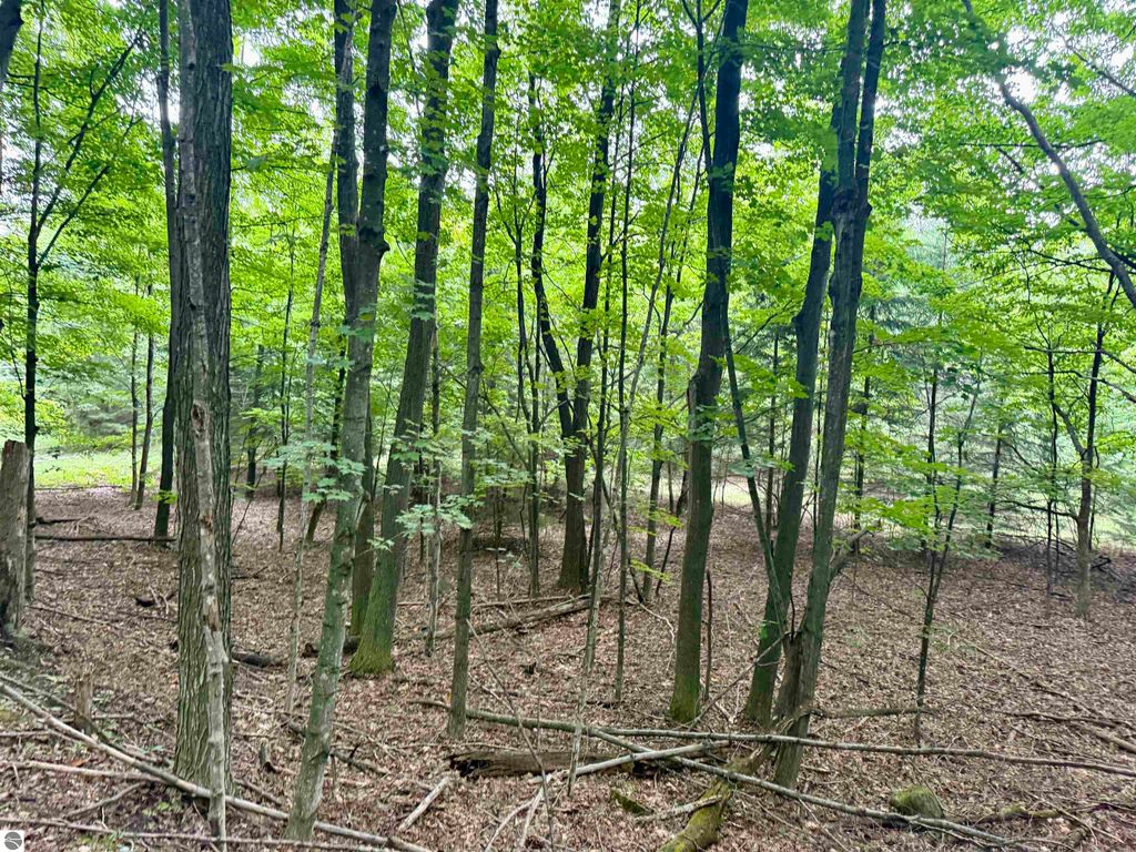 Image 14 of property listing at 0000 W Harbor Highway, Maple City, MI 49664