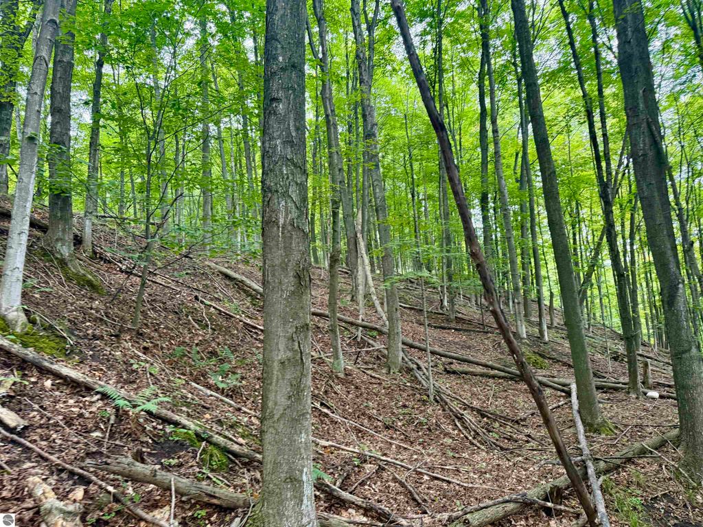 Image 15 of property listing at 0000 W Harbor Highway, Maple City, MI 49664