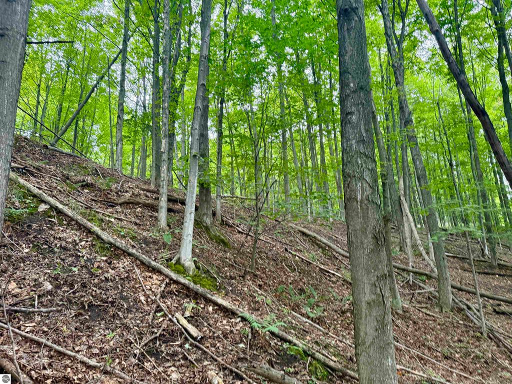 Image 16 of property listing at 0000 W Harbor Highway, Maple City, MI 49664