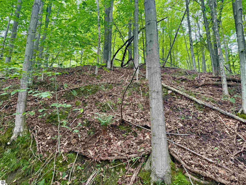 Image 17 of property listing at 0000 W Harbor Highway, Maple City, MI 49664