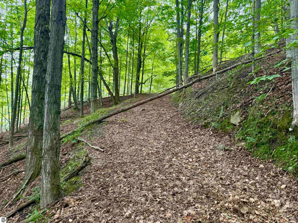 Image 18 of property listing at 0000 W Harbor Highway, Maple City, MI 49664