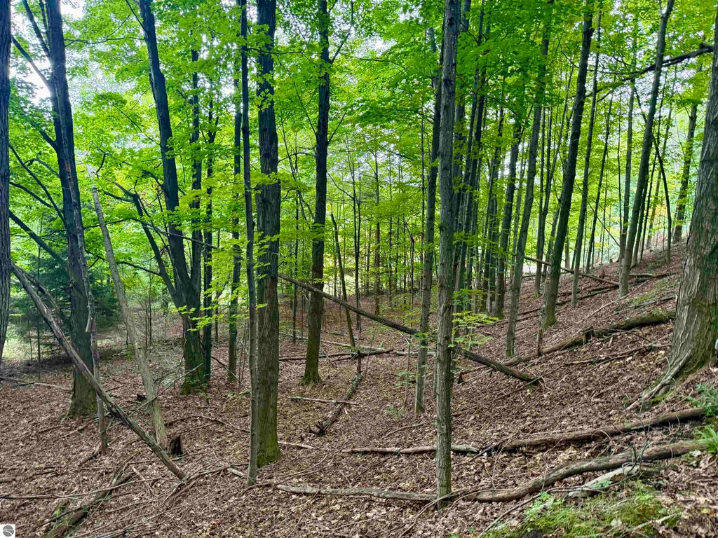 Image 19 of property listing at 0000 W Harbor Highway, Maple City, MI 49664