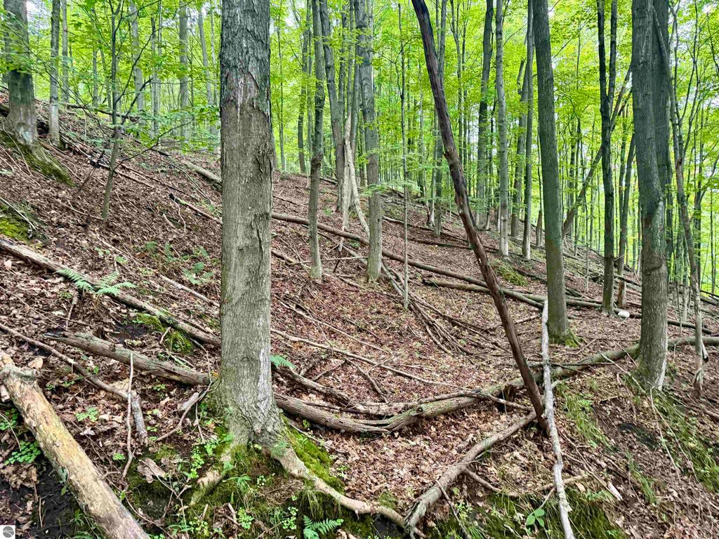 Image 20 of property listing at 0000 W Harbor Highway, Maple City, MI 49664