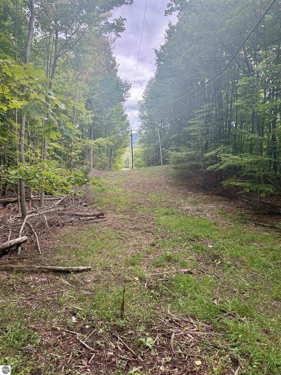 Image 21 of property listing at 0000 W Harbor Highway, Maple City, MI 49664